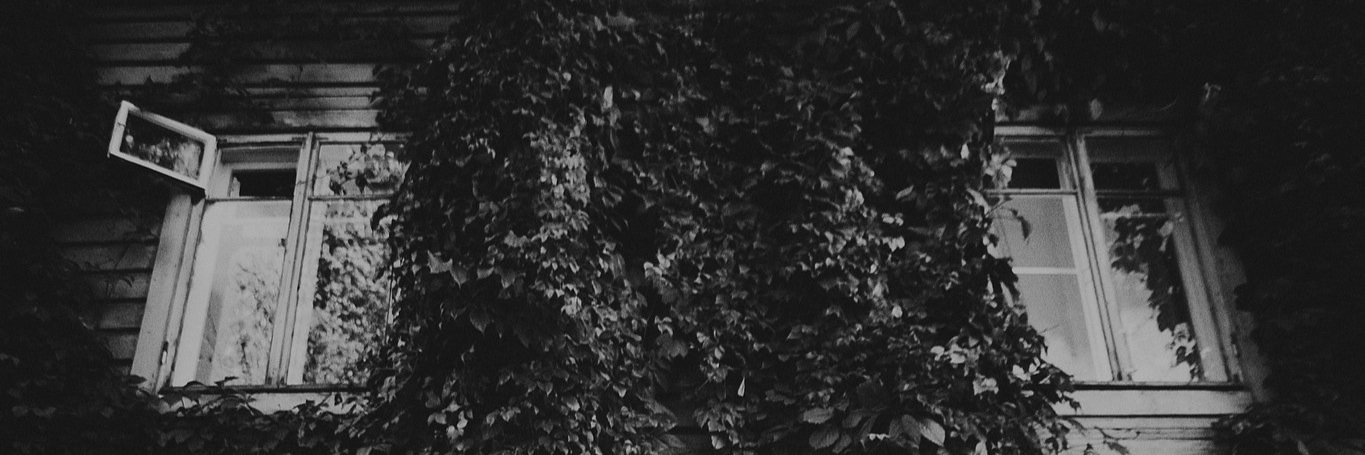 mrRifel's profile banner image