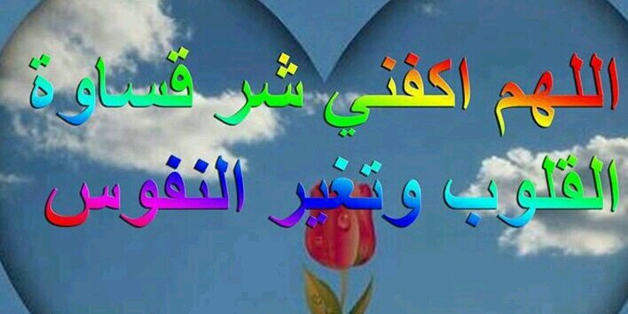 basheer1999491's profile banner image