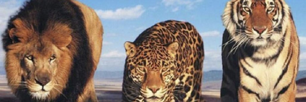 Pilar2301's profile banner image
