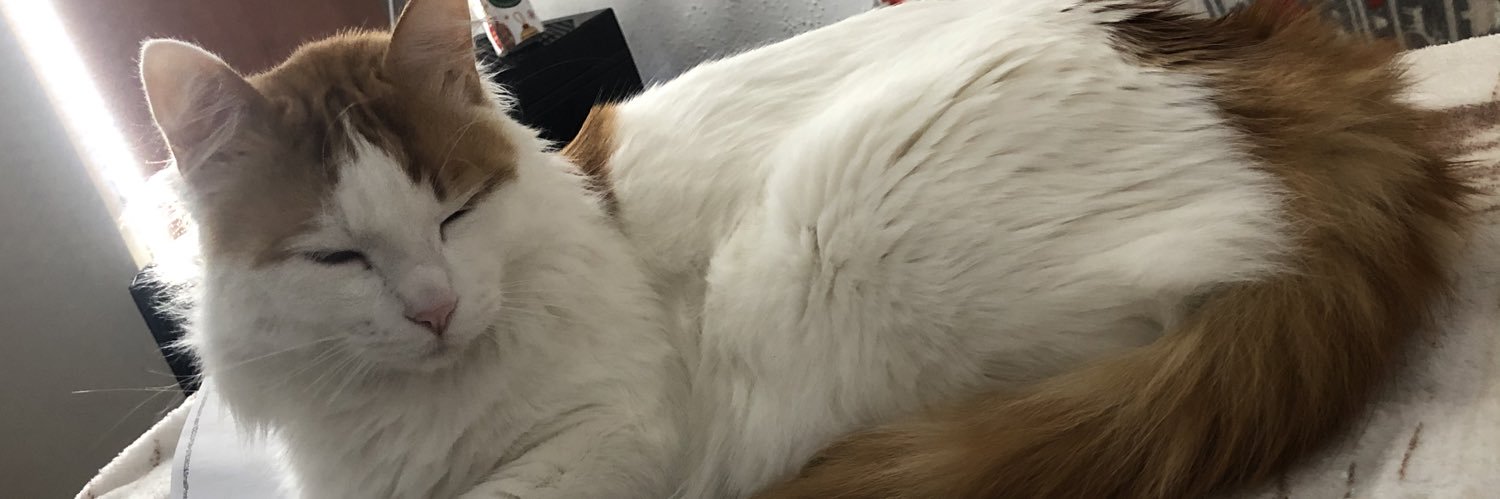 ChrisAnimroat's profile banner image