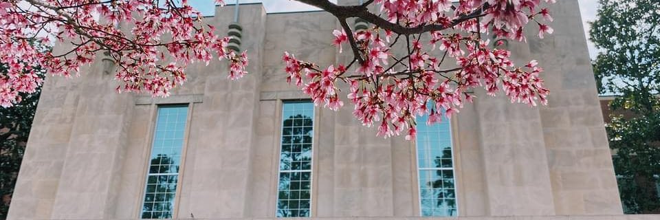NCStateAlumni's profile banner image