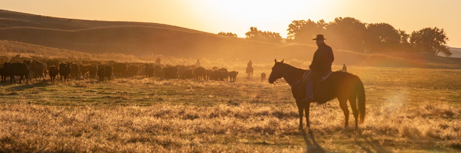 Nebraska Cattlemen® banner