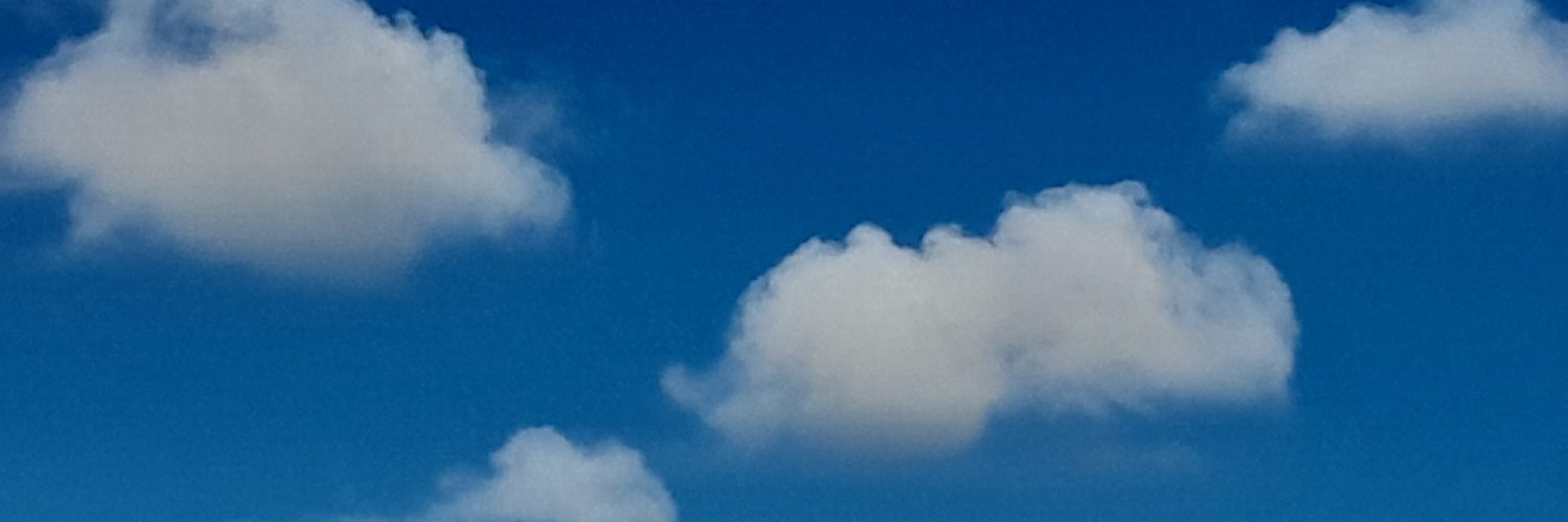 Artista Callejero banner