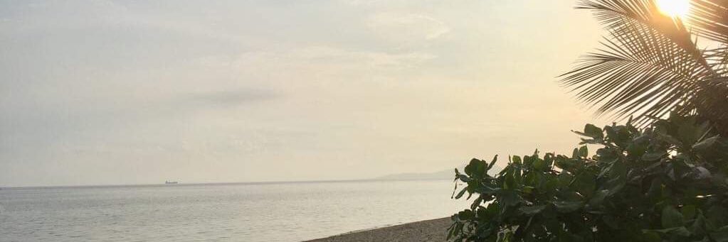 leth narciso banner