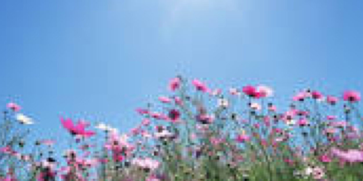 NotSkinnyHeath's profile banner image