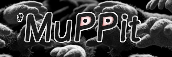 PitMup Profile Banner