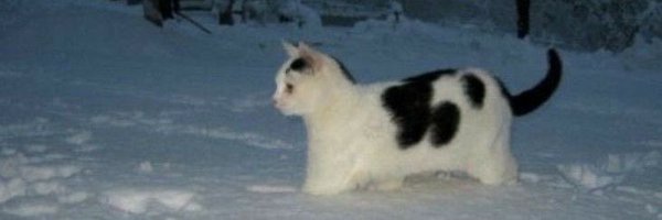 meltinsideme Profile Banner