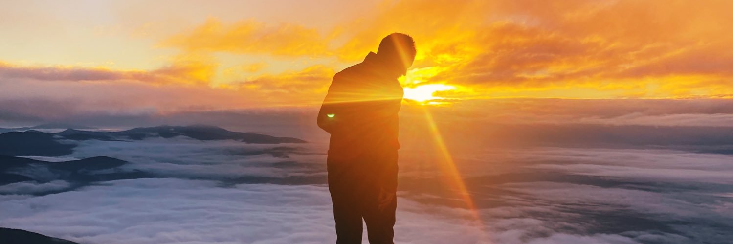 Roman Dvoryankin banner