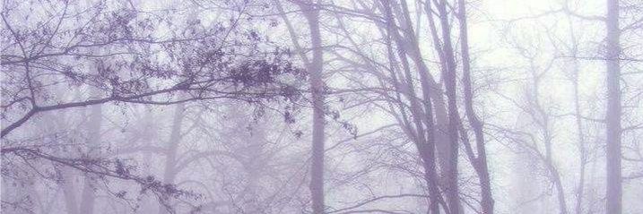 ``chiyorio~° banner