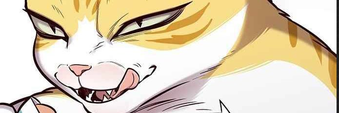 Koroshi banner