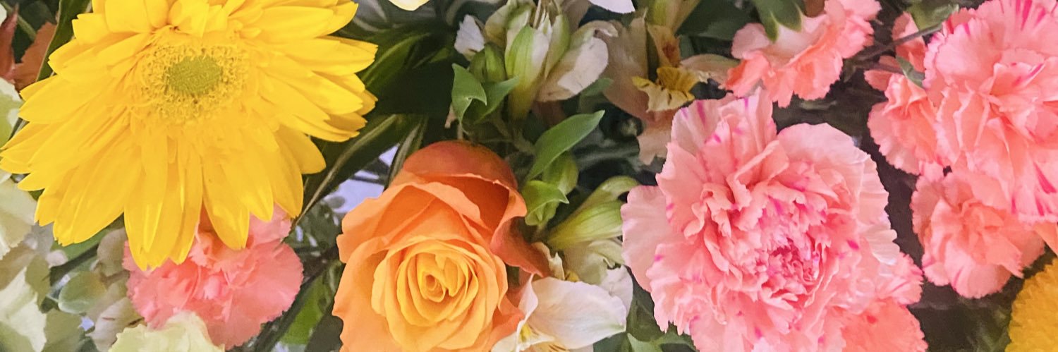 🌼菜乃🌼 banner
