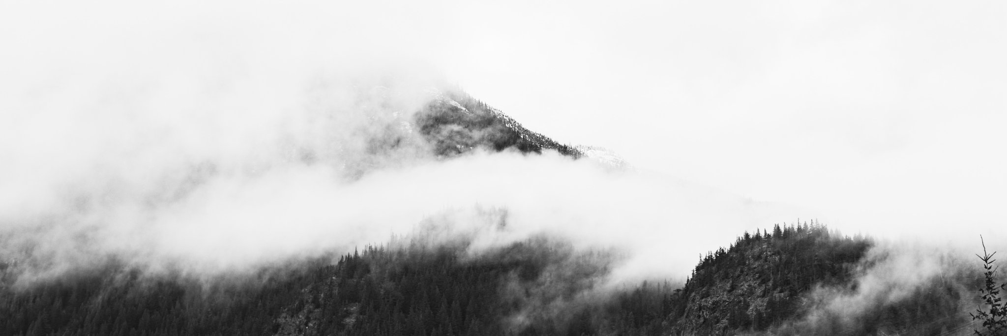 edocerruti's profile banner image
