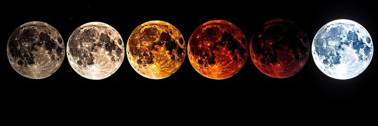 Professor Wambs banner