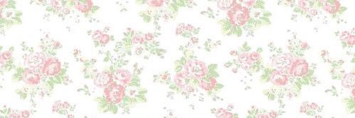 beanie banner