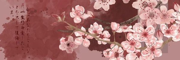 iwtbfe Profile Banner