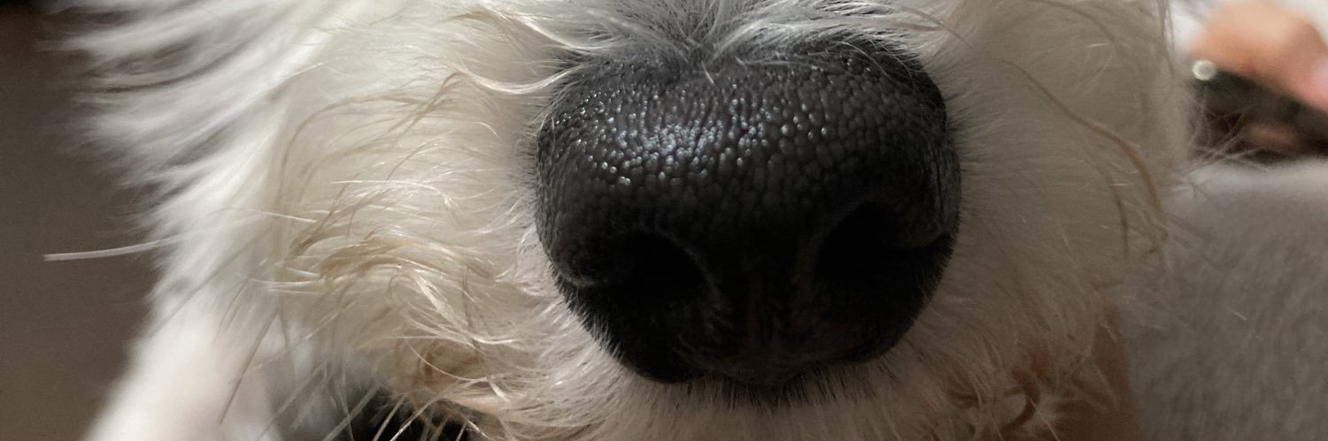 aaaaamush's profile banner image