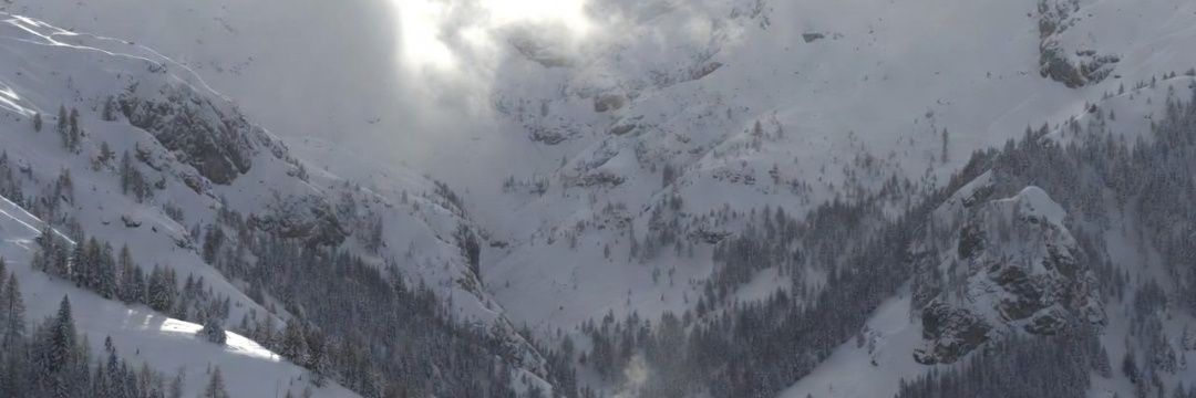 Alpine Druid of Cycle Lows banner
