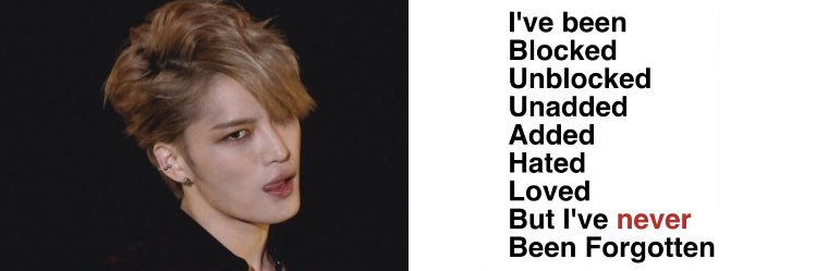 fin 🪽 banner