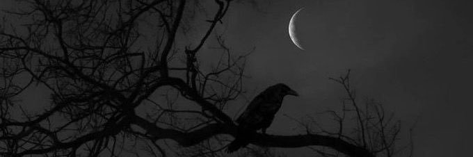 Silent Raven's banner