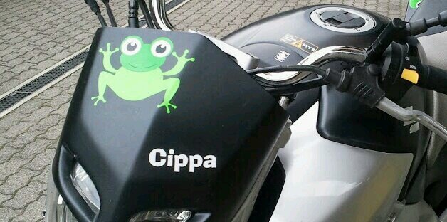 cippelena's profile banner image