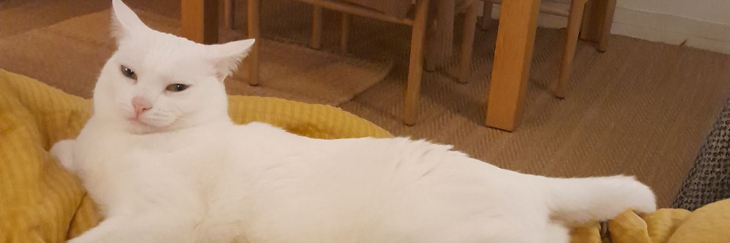 glochebulle's profile banner image