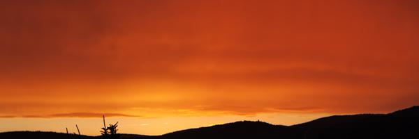 frederics Profile Banner