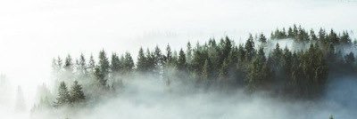 MsKonone's profile banner image
