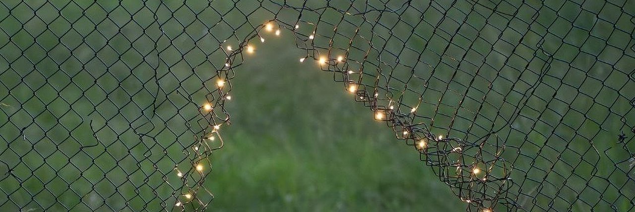 AfrоAmerican Swan banner