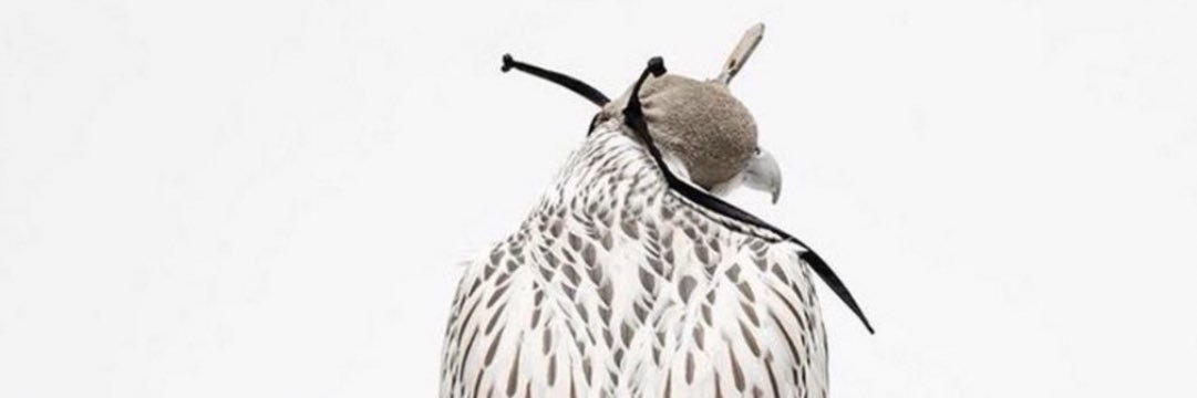 BiintSultan_'s profile banner image