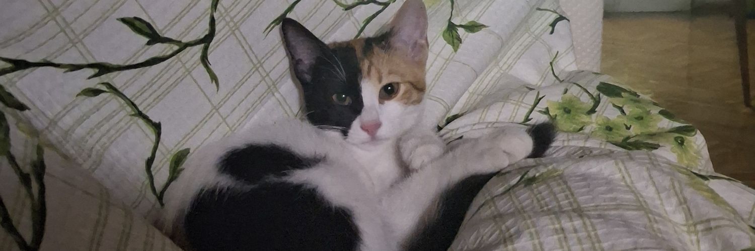 ArdaAbay's profile banner image