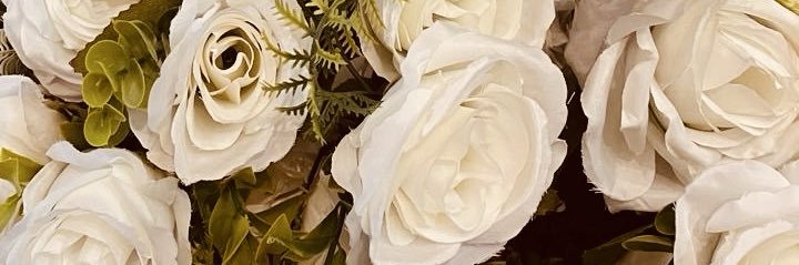 _aneec's profile banner image