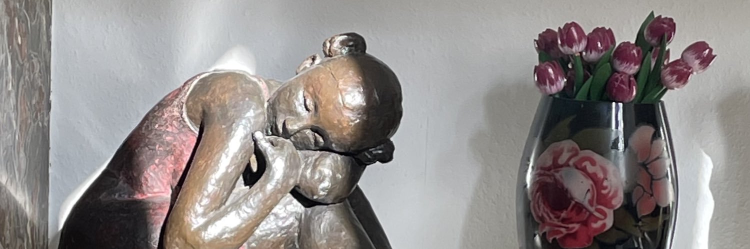 Raimon Obiols banner