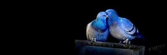 Sk_Zub's profile banner image