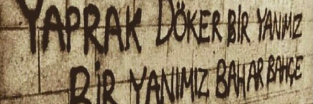 sureyyaagar's profile banner image