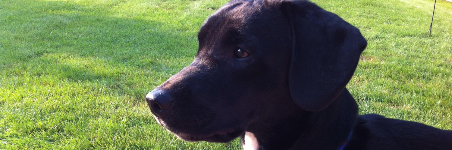 pcschopp's profile banner image