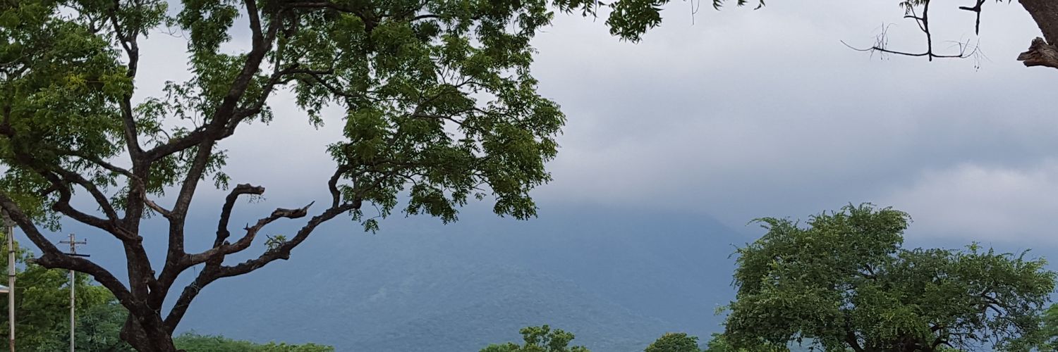 HariniSbala's profile banner image