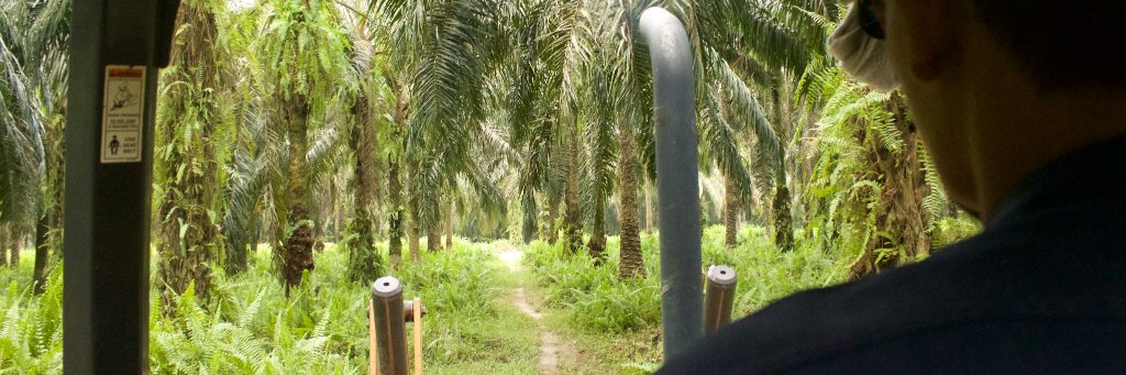 BEFTA Programme banner