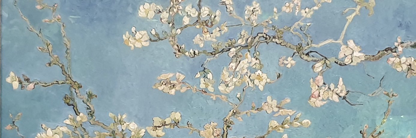 ramennoodle669's profile banner image