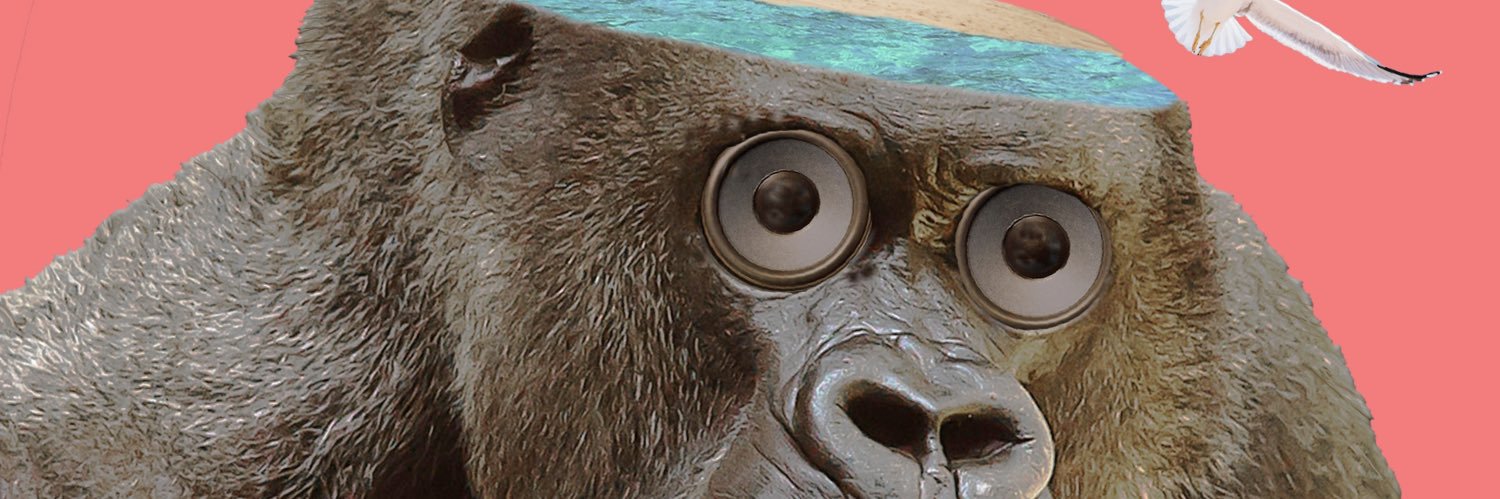 hammer_baba's profile banner image