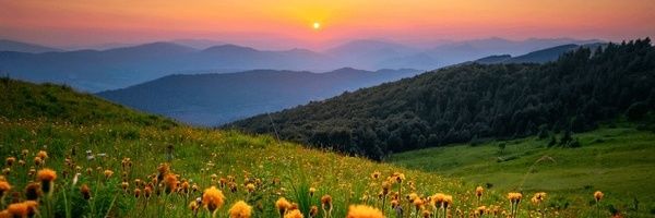 AbhishekPr8010 Profile Banner