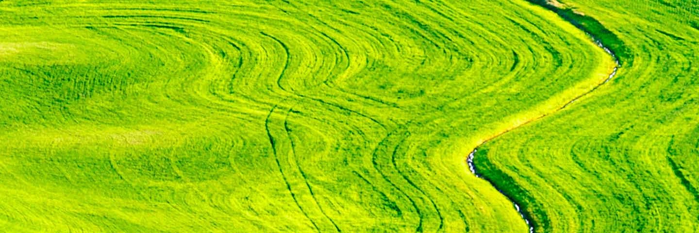 Dr. Doraid Abdullah || د. دريد عبدالله banner