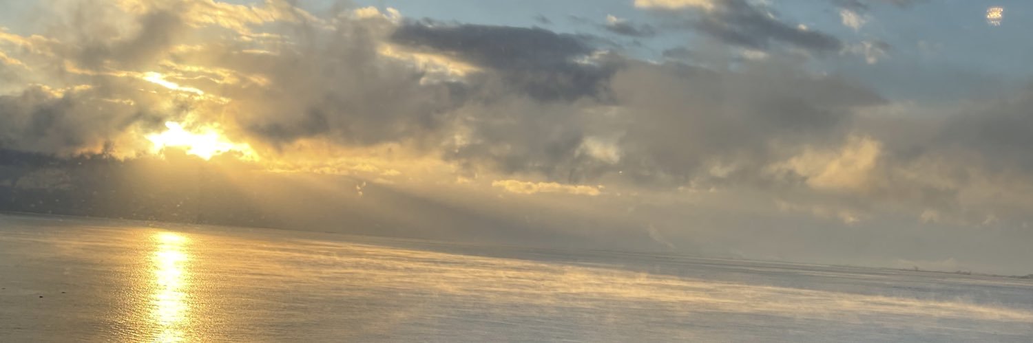 trialdr's profile banner image