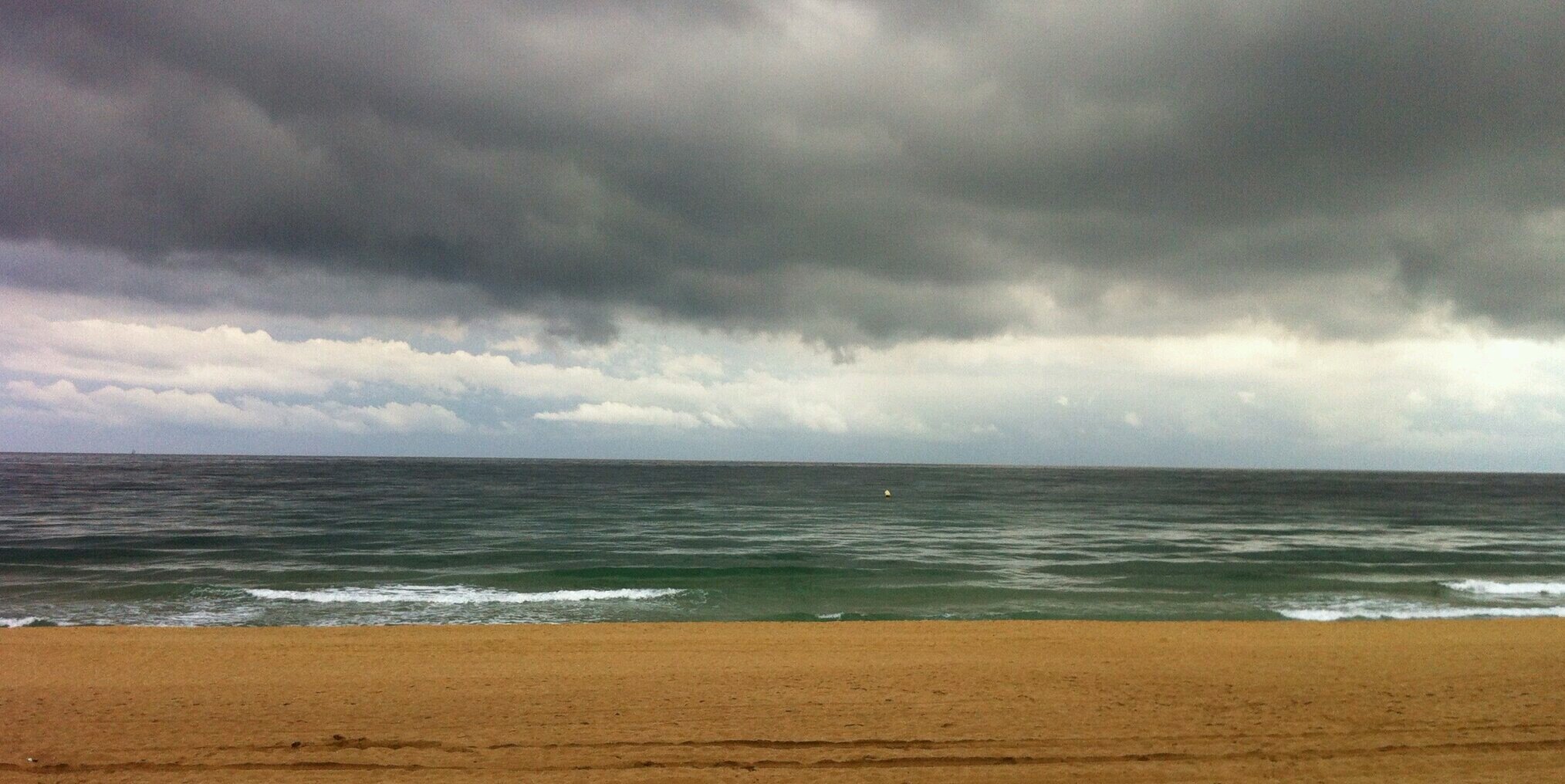 Rosa M Fluvià banner