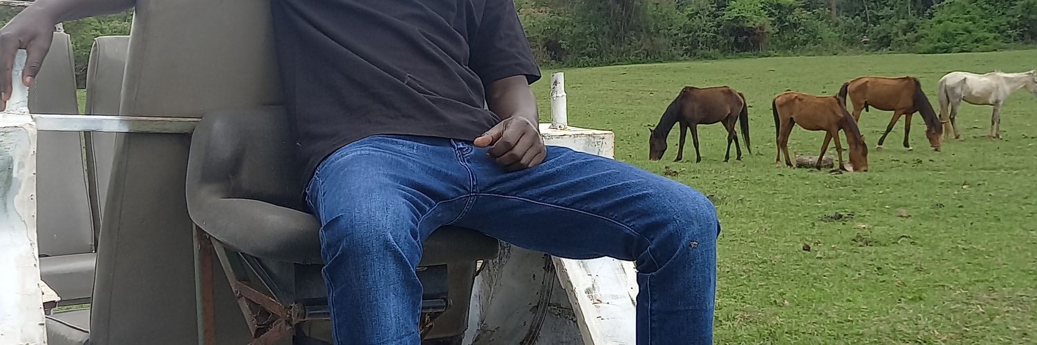 evanskerui's profile banner image
