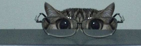 nmbskllsucks's profile banner image