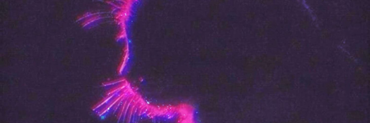 BTSArmyYNWA's profile banner image
