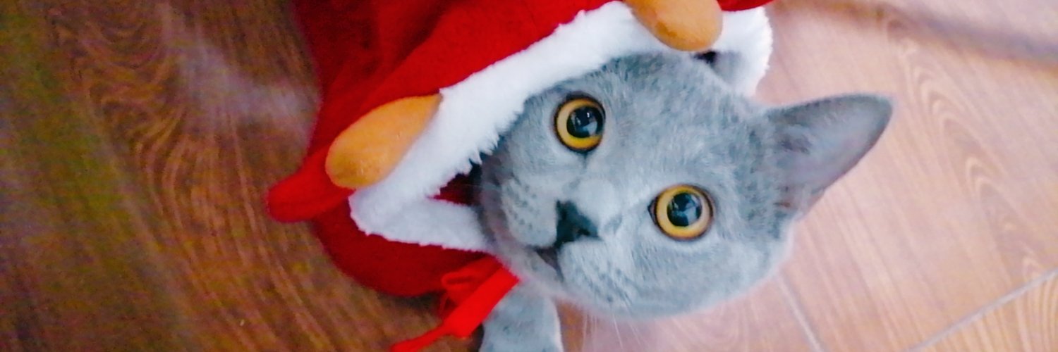 OCaymiaolive's profile banner image