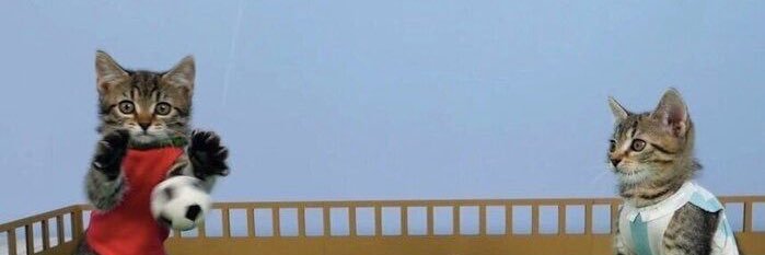 จ้ากจั่นปลาเพา :3 banner