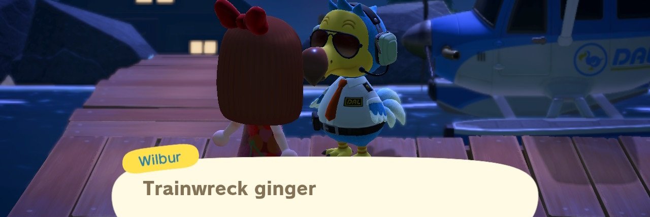 HopefulGinger's profile banner image