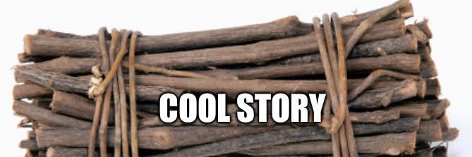 Dr. Honkey McCrackerface Esq. III banner